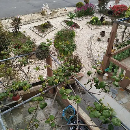 Pensión El Pinar