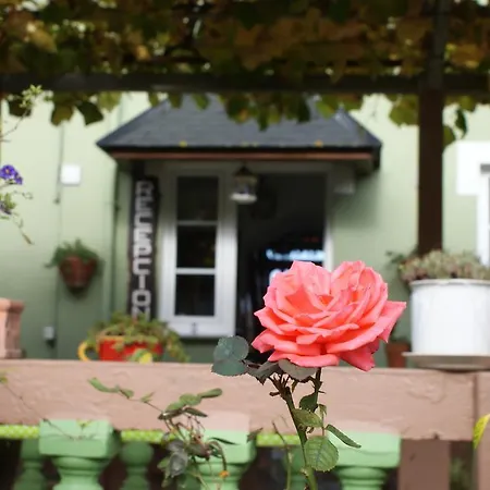 Guest house El Pinar Ribadeo