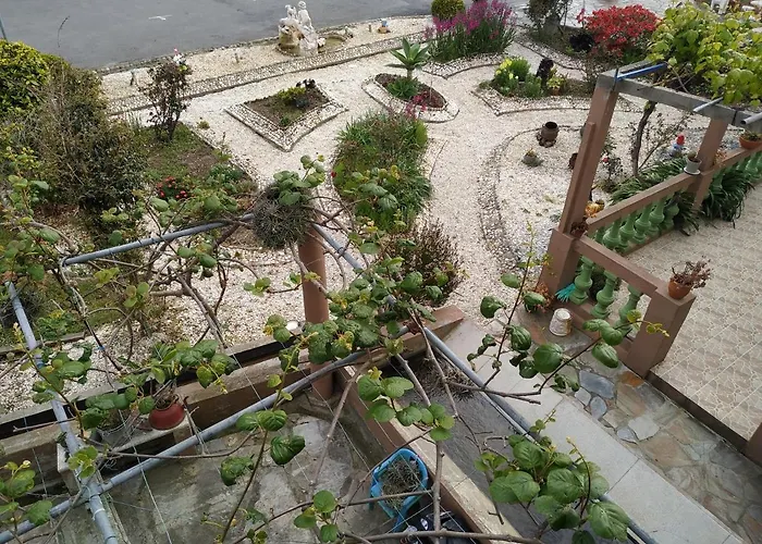 Maison d'hôtes El Pinar