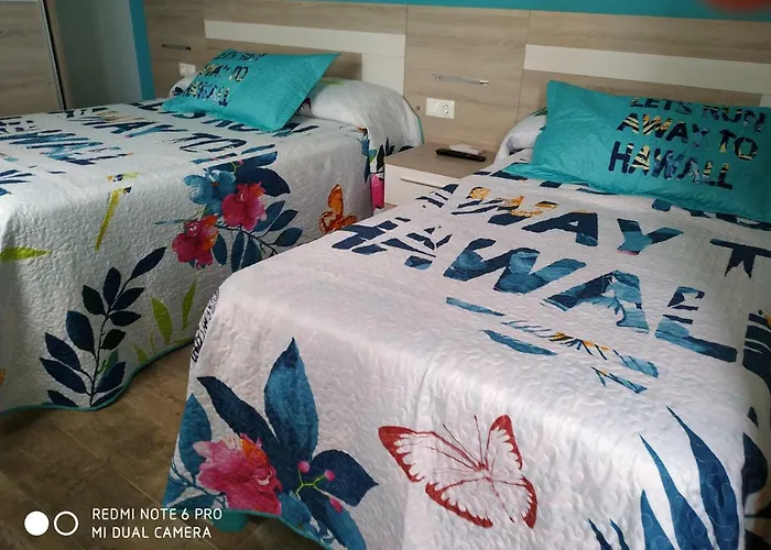 El Pinar 게스트하우스 3*